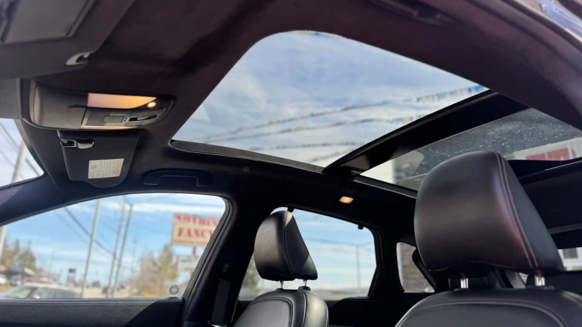 2019 Infiniti QX50 ESSENTIAL AWD thumbnail 13
