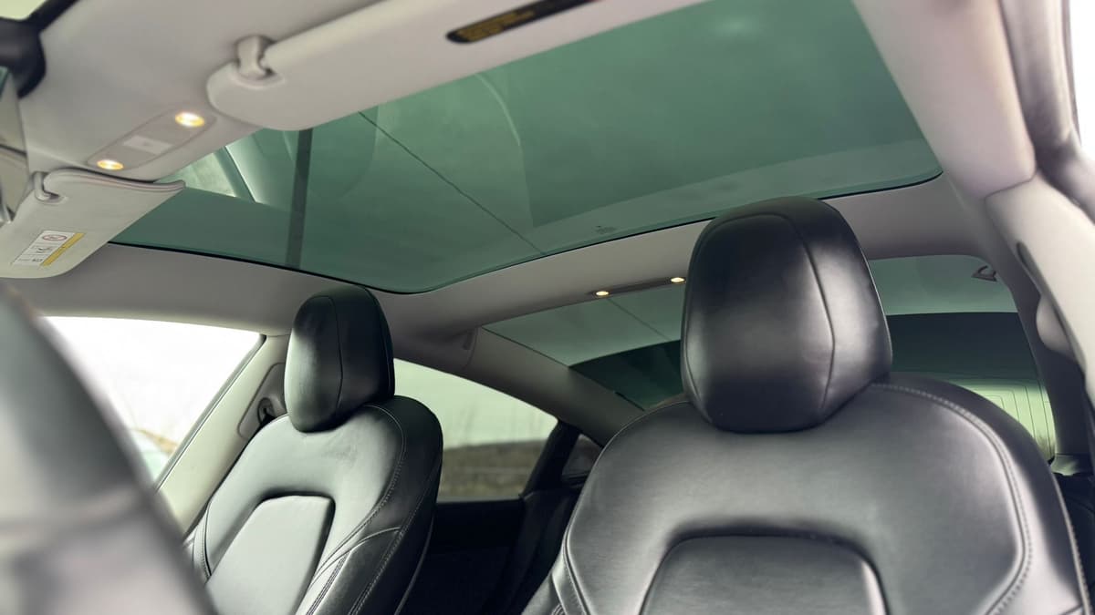 2019 Tesla 3 STD Range Plus RWD thumbnail 12