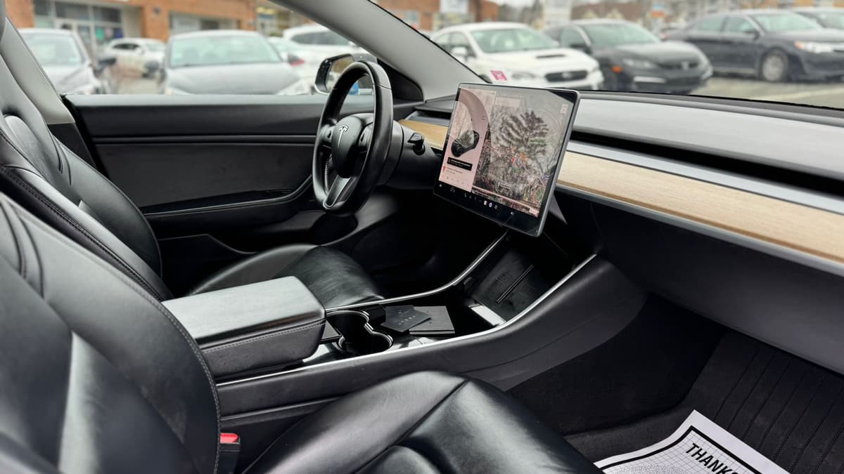 2019 Tesla 3 STD Range Plus RWD thumbnail 13